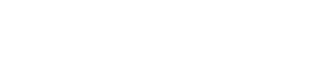 Presidente Real Estate